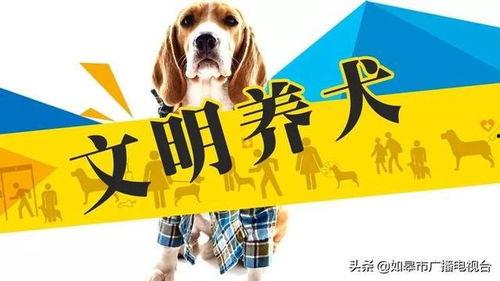 今日头条农村养狗文章,探索绿色养殖与和谐共生的秘诀
