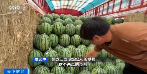 紫色氛围灯吃瓜事件,一场网络热议的幕后揭秘