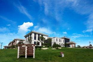 安丘网红景点,揭秘这座古城的新时尚魅力