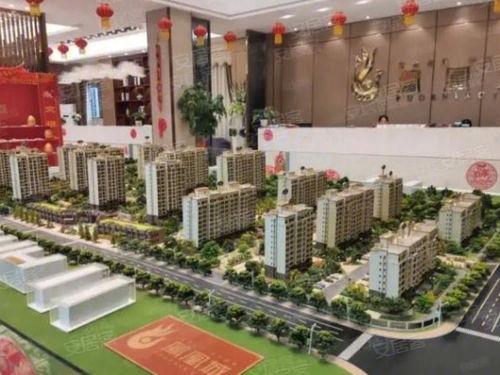 紫金凤凰城头条,聚焦城市新篇章，共绘发展新蓝图