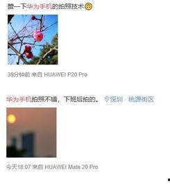 每日大赛的微博是什么意思,揭秘热门赛事背后的精彩瞬间