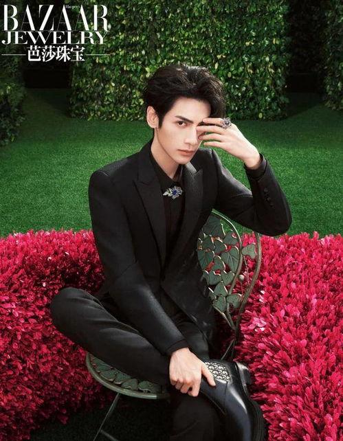 玫瑰园明星,璀璨绽放的璀璨人生