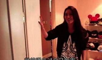 明星哪些家里穷,逆境中的璀璨星光