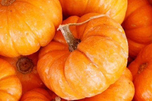 南瓜吃瓜事件,一场意外的“瓜界”风波