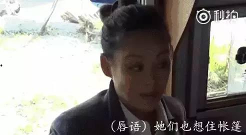娱乐圈吃瓜故事真的假的